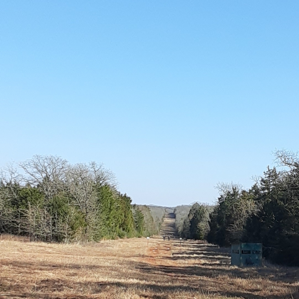 Secondhand&sustainable items